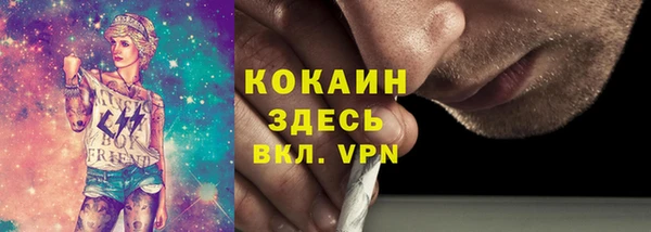 тгк Елизово