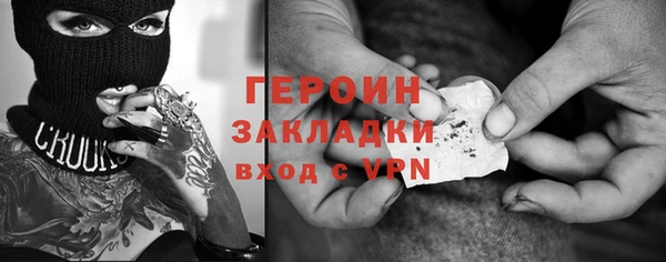 шишки Ельня