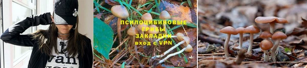 мефедрон мука Елабуга