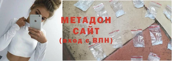 шишки Ельня