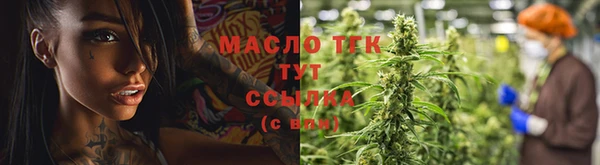 шишки Ельня