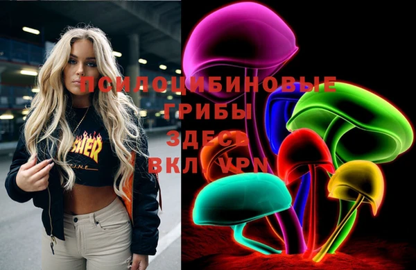 шишки Ельня
