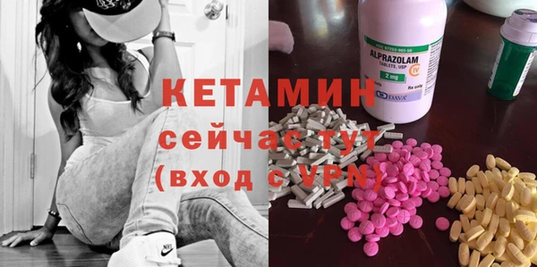 шишки Ельня