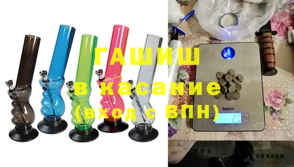 шишки Ельня