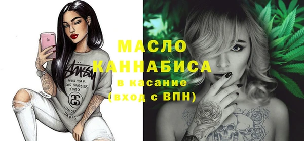 шишки Ельня