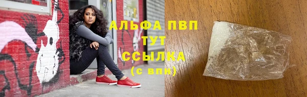 шишки Ельня