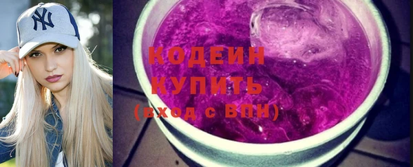 шишки Гусиноозёрск