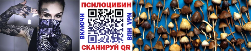 Галлюциногенные грибы Magic Shrooms  Псков 